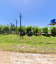 Aserradero San Cayetano SRL