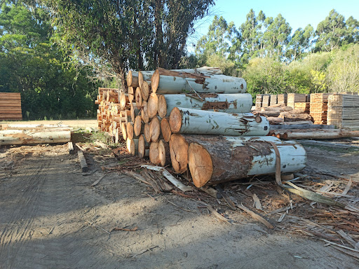 Aserradero La Cadena