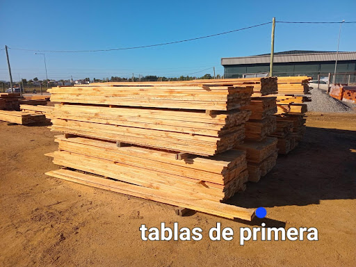 Aserradero Maldonado y Podas en Altura