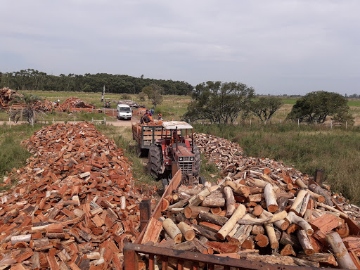 Aserradero y Leñeria LA HORMIGA