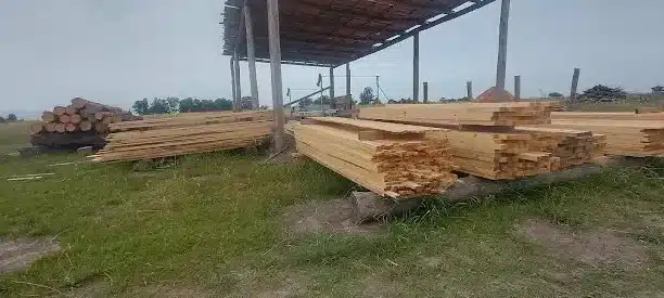 aserradero leneria andres arrua la calera
