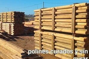 Aserradero Maldonado y Podas en Altura