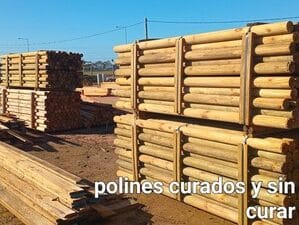 aserradero maldonado y podas en altura