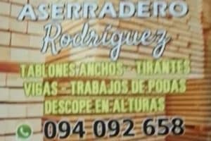 Aserradero rodriguez