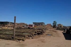 Aserradero TOBELSUR S.A.