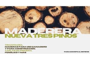 Aserraderos en Colonia, Uruguay: Guía Completa y Lista de Proveedores Locales