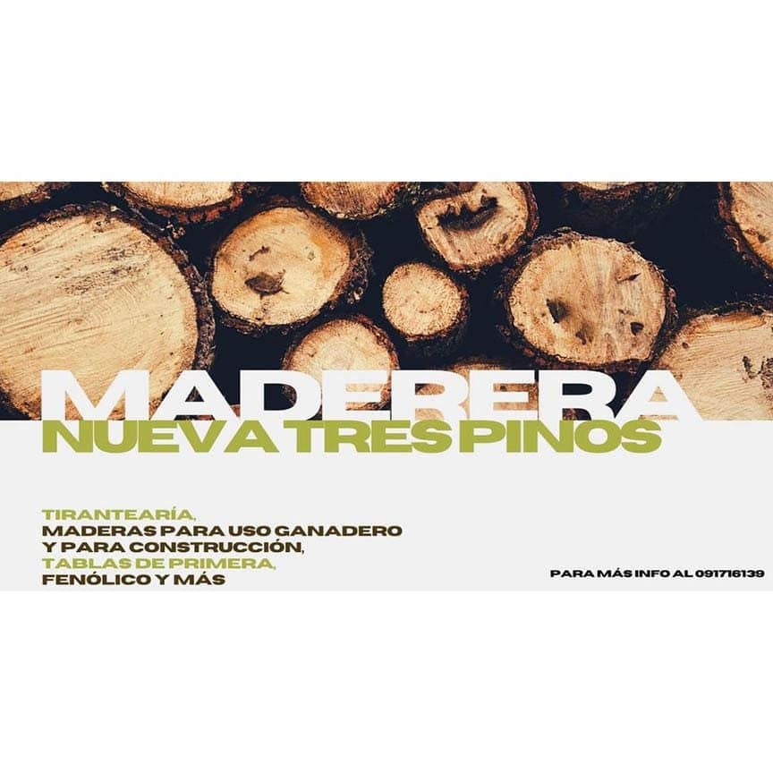 aserraderos en colonia uruguay guia completa y lista de proveedores locales