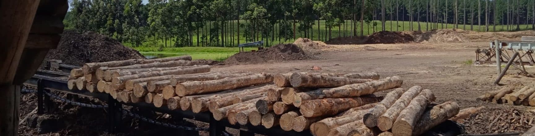 aserraderos en jose batlle y ordonez uruguay encuentra los mejores servicios de aserradero en la zona