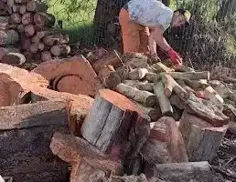 Aserraderos en Lascano, Uruguay: Encuentra los Mejores Servicios de Aserrado en la Zona