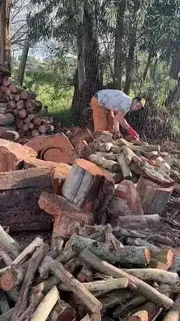 aserraderos en lascano uruguay encuentra los mejores servicios de aserrado en la zona