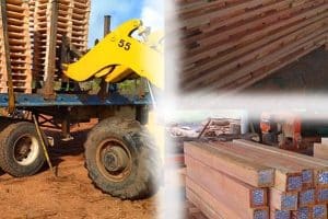 Aserraderos en Lavalleja, Uruguay: Guía Completa de Servicios y Empresas Líderes