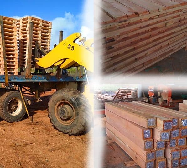 aserraderos en lavalleja uruguay guia completa de servicios y empresas lideres