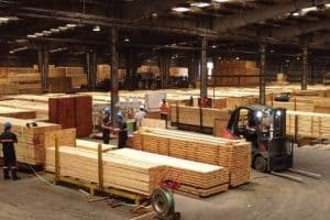 Aserraderos en Pan de Azúcar, Uruguay: Industria Maderera y Oportunidades de Negocio