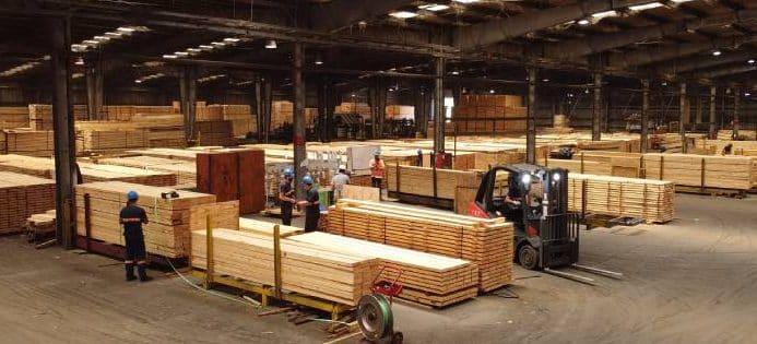aserraderos en pan de azucar uruguay industria maderera y oportunidades de negocio