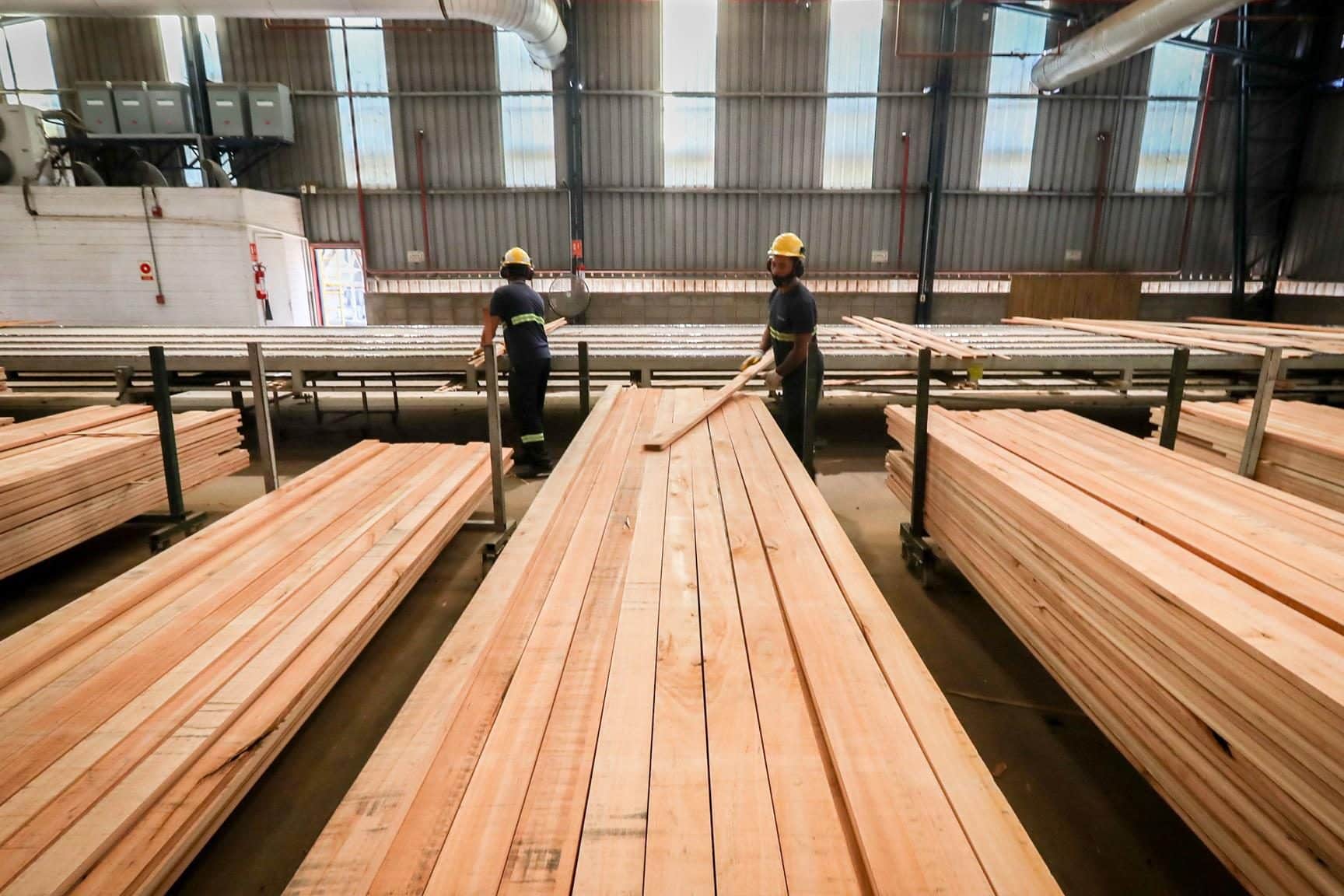 aserraderos en progreso uruguay guia completa de empresas y servicios de aserrado en la region