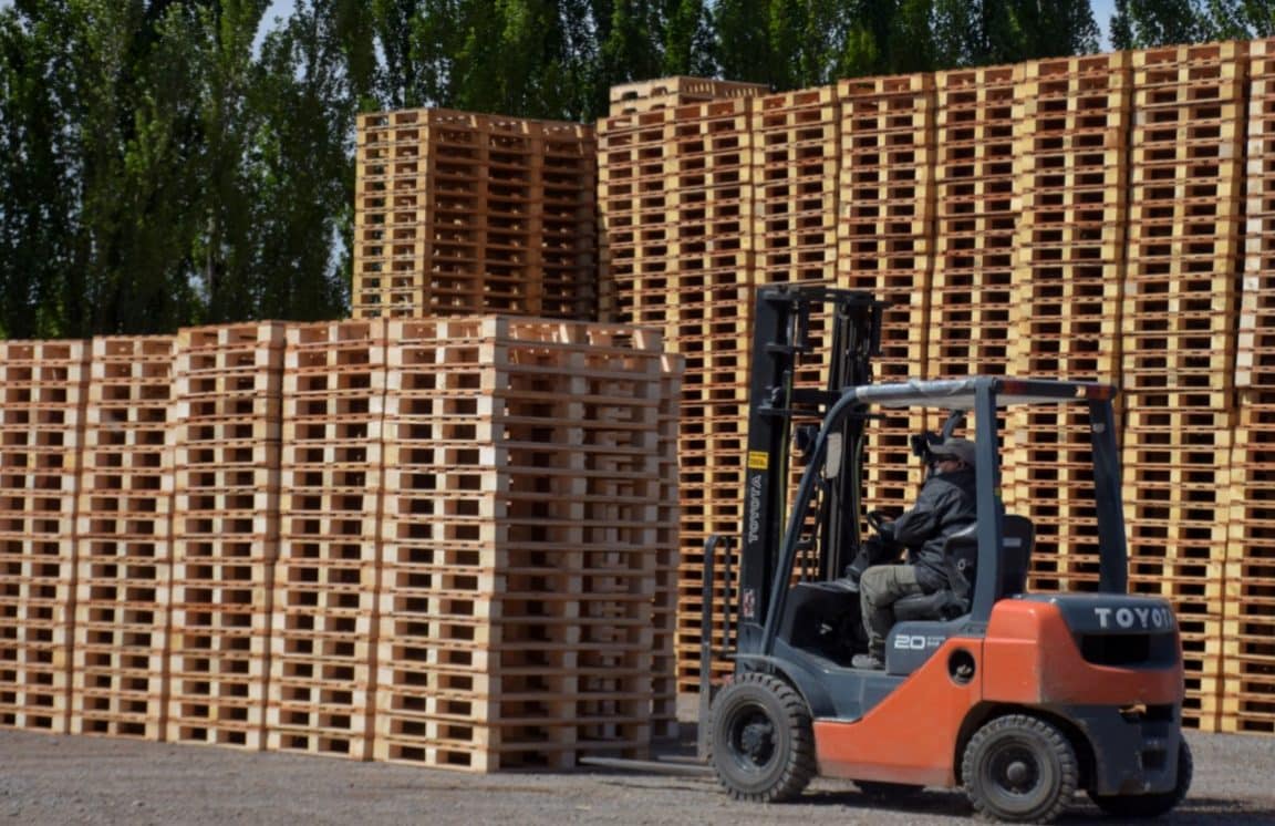 aserraderos en rio negro uruguay industria y produccion en la region