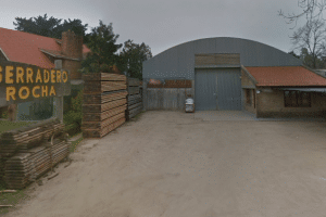 Aserraderos en Rocha, Uruguay: Guía Completa de Empresas y Servicios de Aserrado en la Región