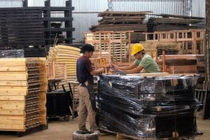 Aserraderos en San José, Uruguay: Opciones y Servicios para la Industria Maderera