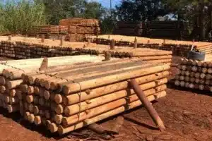 Aserraderos en Sauce, Uruguay: Encuentra los mejores servicios de aserradero en la zona