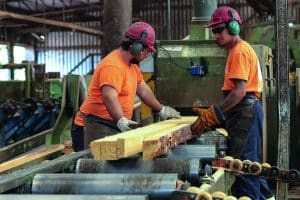 Aserraderos en Tacuarembó, Uruguay: Guía Completa de Servicios y Empresas Líderes