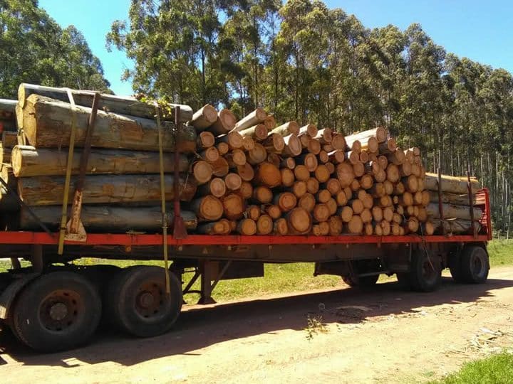 aserraderos en vichadero uruguay guia completa de servicios y productos de madera