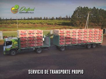 dalpra aserradero villa